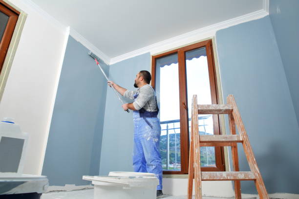  Chesnut Hill, PA Mold Removal Pros