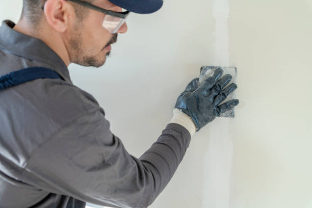 Best Commercial Mold Inspection  in Chesnut Hill, PA