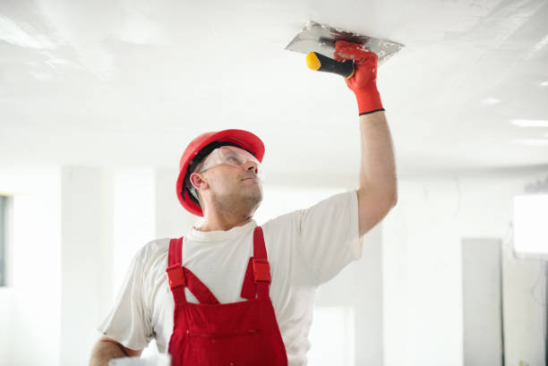 Best Forensic Mold Investigation  in Chesnut Hill, PA