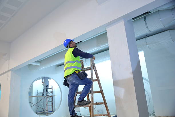 Best Biohazard Mold Removal  in Chesnut Hill, PA